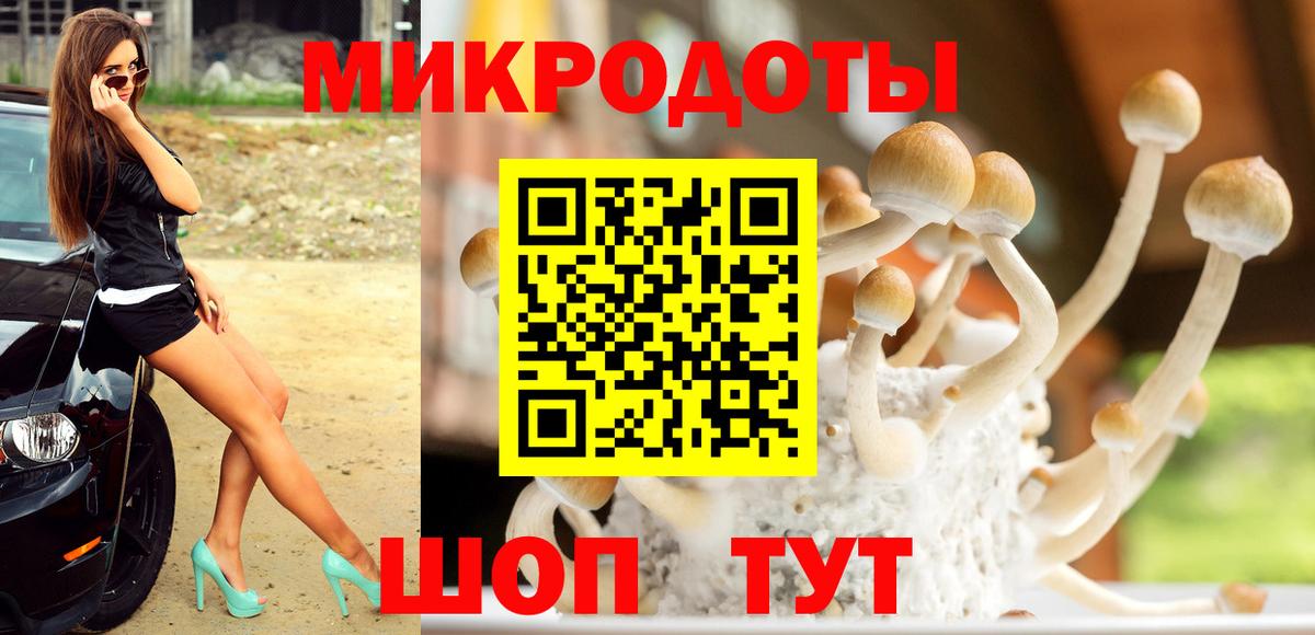 где найти   Вход с VPN  Азов  Галлюциногенные грибы Cubensis 